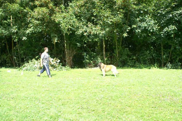 obeissance 2014-08-02